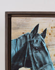 Rodeo Horse - 8x8